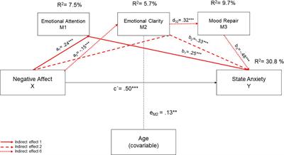 Lights and Shadows of Trait Emotional Intelligence: Its Mediating Role in the Relationship Between Negative Affect and State Anxiety in University Students